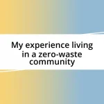 My experience living in a zero-waste community