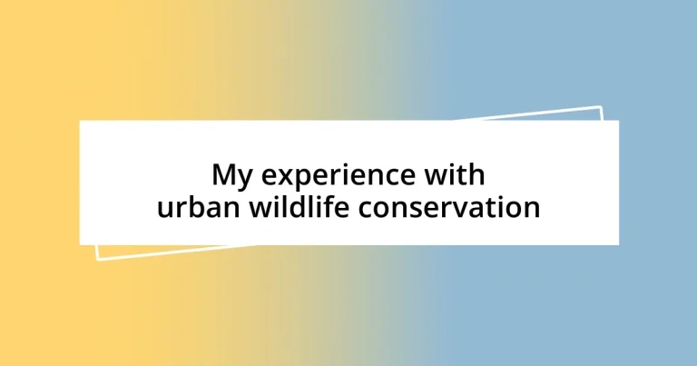 My experience with urban wildlife conservation