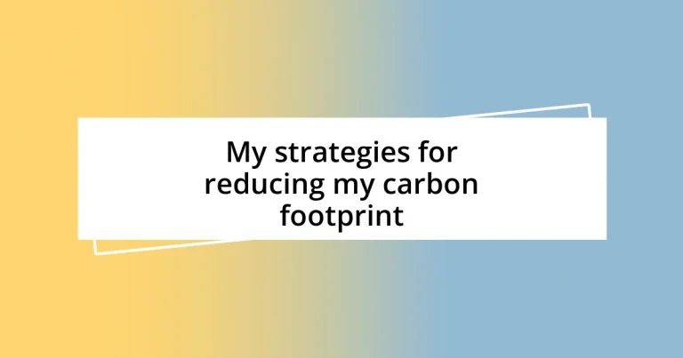 My strategies for reducing my carbon footprint