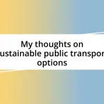 My thoughts on sustainable public transport options