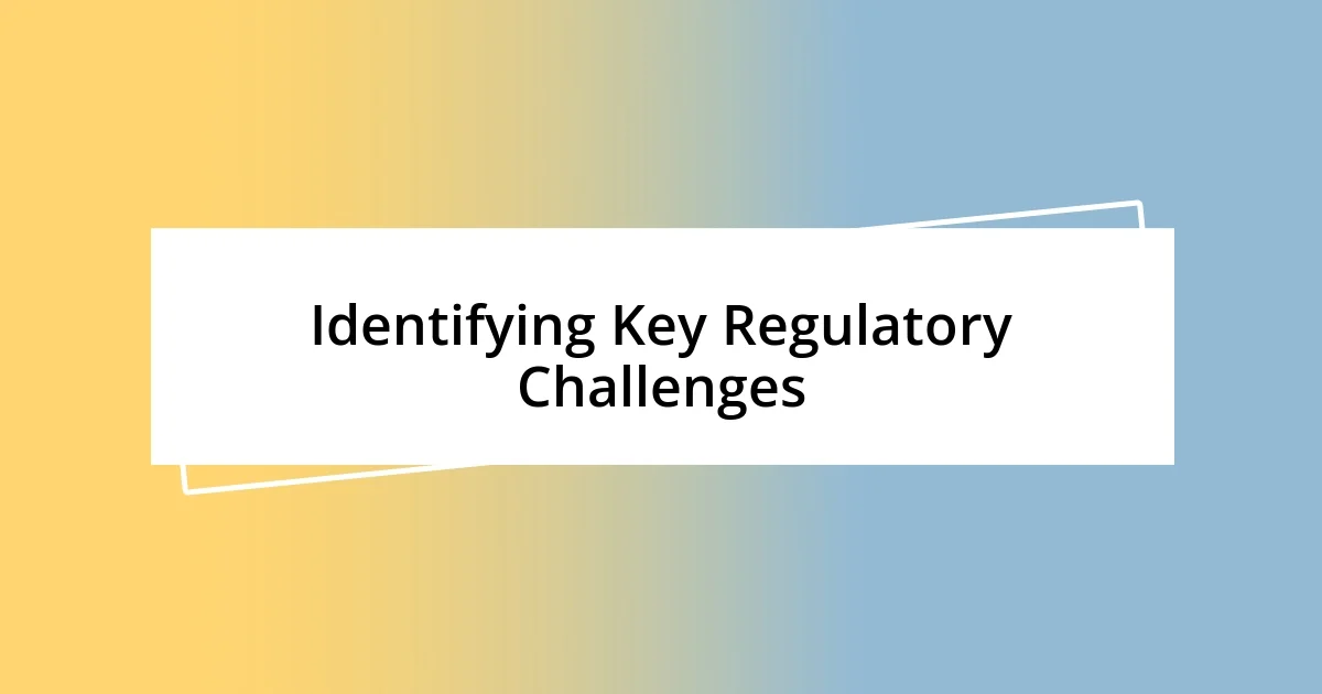 Identifying Key Regulatory Challenges