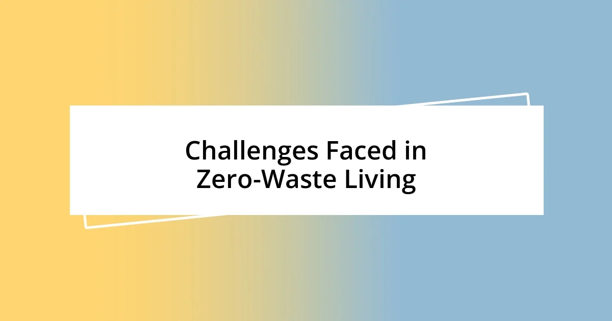 Challenges Faced in Zero-Waste Living