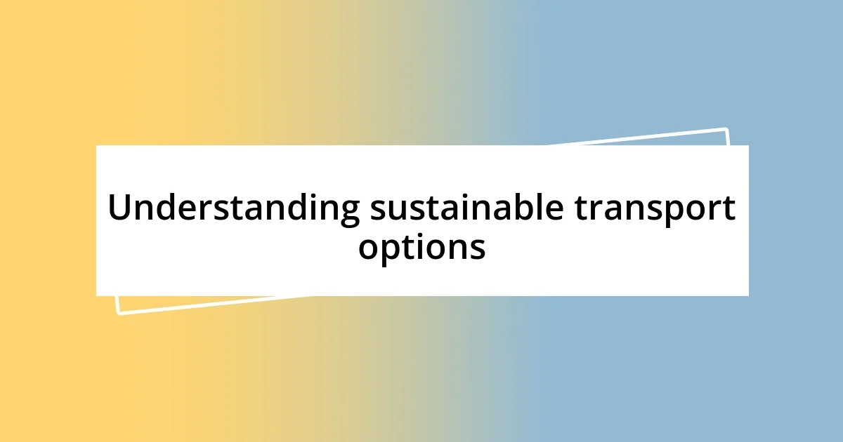 Understanding sustainable transport options