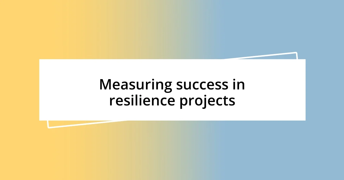 Measuring success in resilience projects